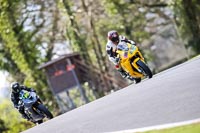 Oulton-Park-20th-March-2020;PJ-Motorsport-Photography-2020;anglesey;brands-hatch;cadwell-park;croft;donington-park;enduro-digital-images;event-digital-images;eventdigitalimages;mallory;no-limits;oulton-park;peter-wileman-photography;racing-digital-images;silverstone;snetterton;trackday-digital-images;trackday-photos;vmcc-banbury-run;welsh-2-day-enduro